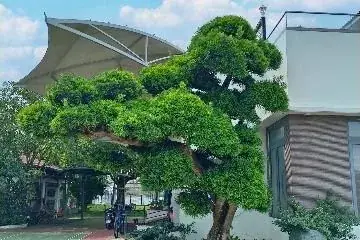 Khách sạn – Resort