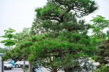 Công trình tâm linh