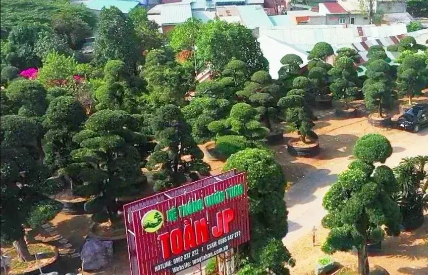 Vườn Tùng Toàn JP – TP. Hồ Chí Minh