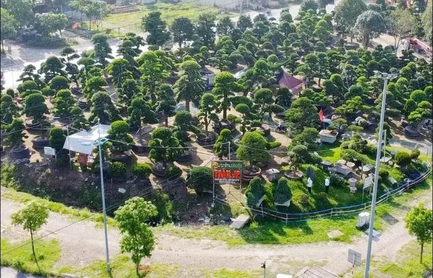 Cảnh quan cổng chính khu đô thị