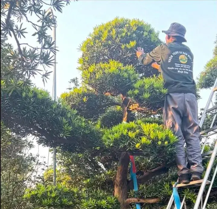 Nghệ nhân Vũ Cao Huy