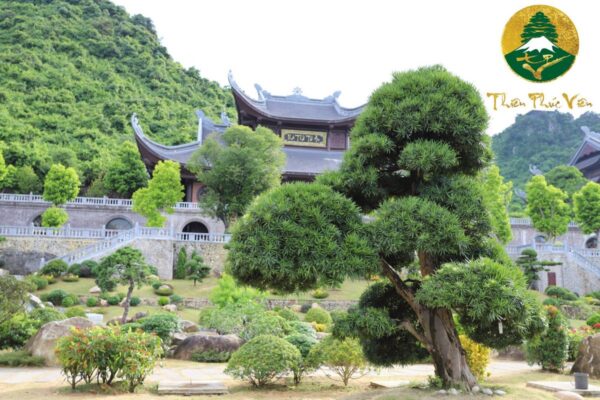 KHU TÂM LINH