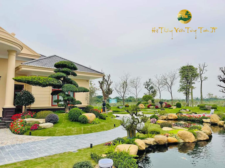 Các bệnh thường gặp ở cây Tùng La Hán – Lý do và cách chữa trị