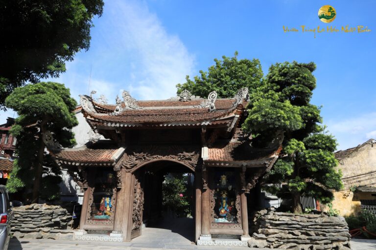 Ý nghĩa tâm linh của cây tùng la hán