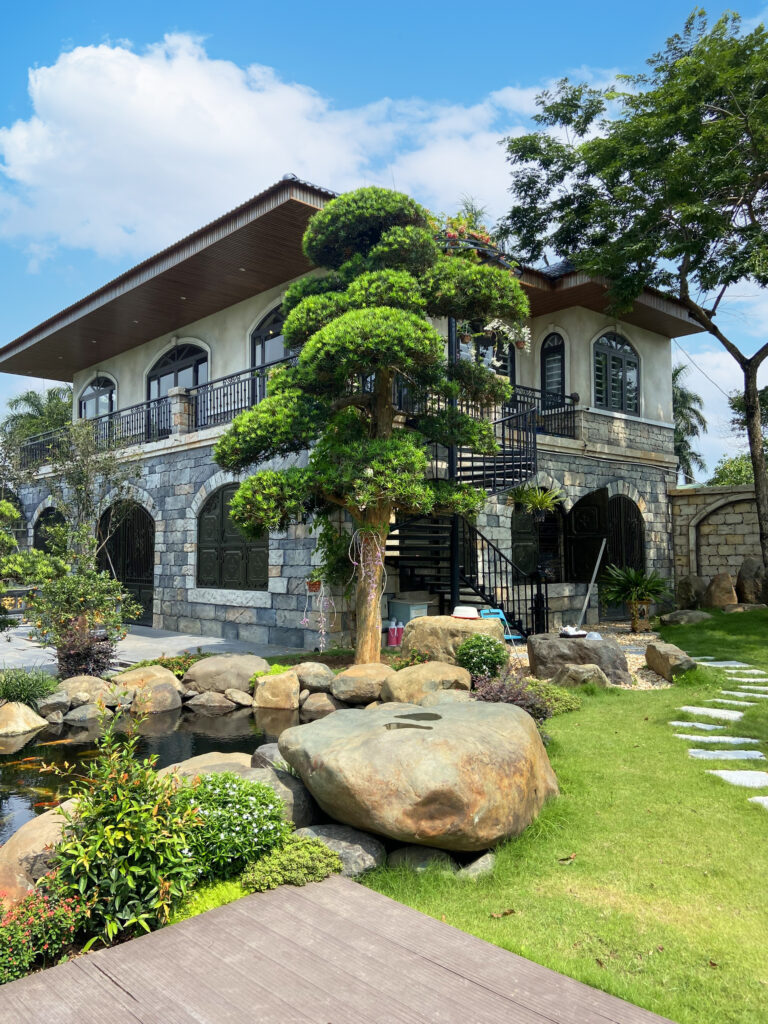 Tùng La Hán hợp mệnh gì? Ý nghĩa phong thủy