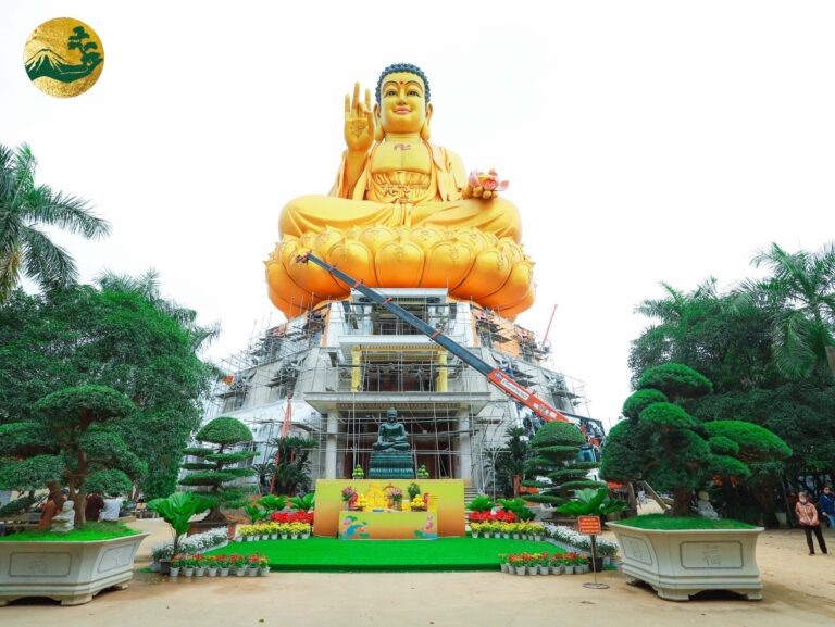 Trồng 02 cây Vạn Tuế tại Chùa Khai Nguyên, Sơn Tây