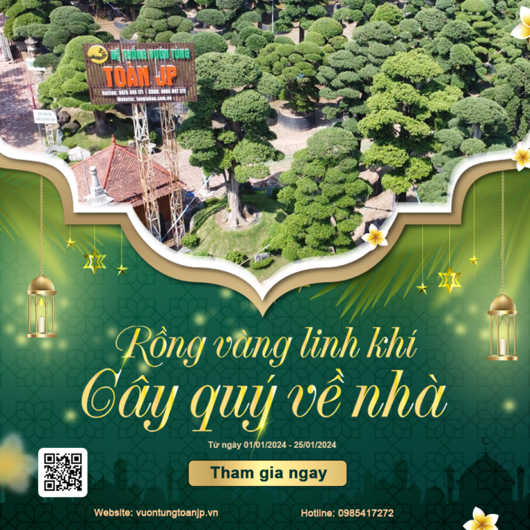 Sự Kiện Lớn Nhất Năm: “Rồng Vàng Linh Khí – Cây Quý Về Nhà”