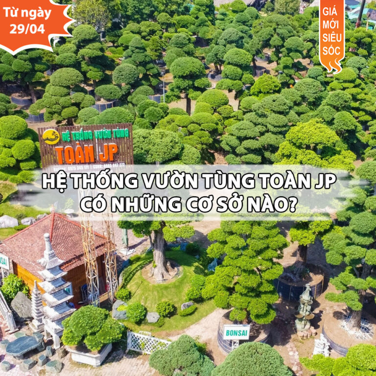 Hệ thống Vườn tùng Toàn JP có những cơ sở nào?
