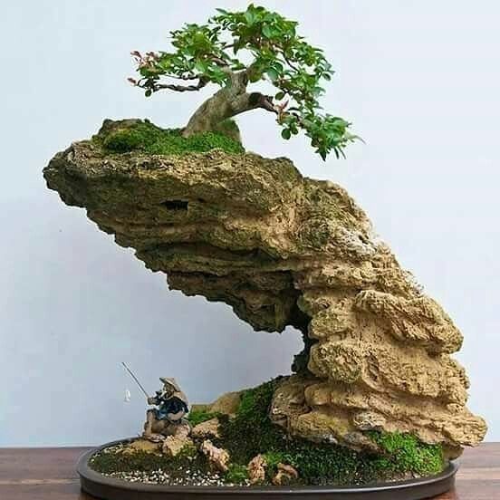 Nghệ thuật Penjing – Vẻ đẹp tinh tế của thiên nhiên thu nhỏ