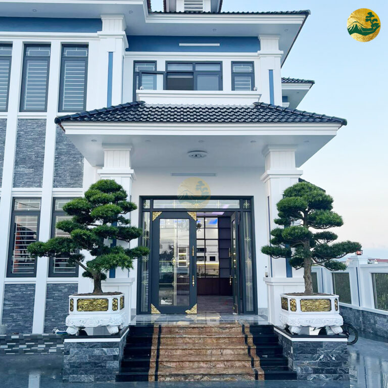 Thanh Long – Bạch Hổ – Bí Truyền Phong Thủy, An Lành Đón Tết