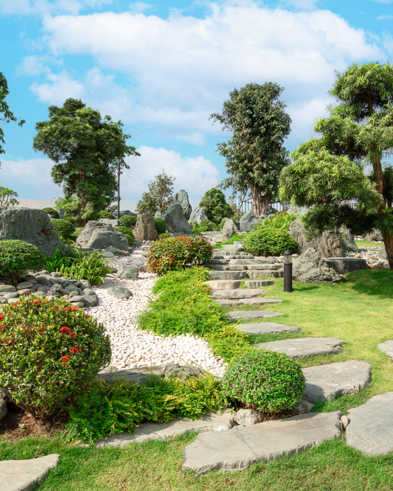 Tiêu chuẩn chọn Tùng La Hán cho khu đô thị cao cấp